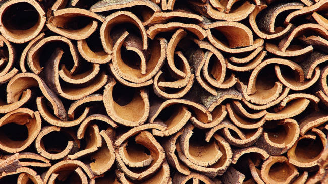 productos-eco productos-eco