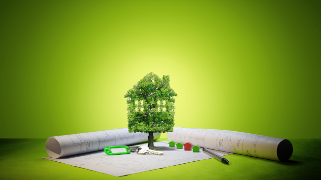 Construccion-ecologica